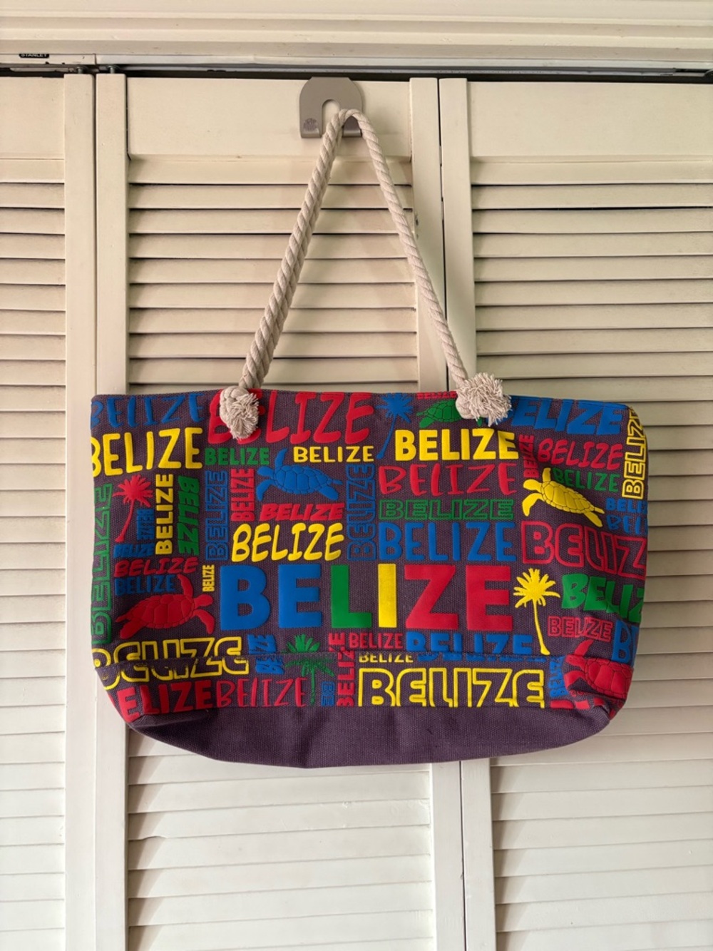 Belize Multicolor Canvas Tote with Rope Handles